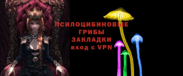МДПВ Нижневартовск