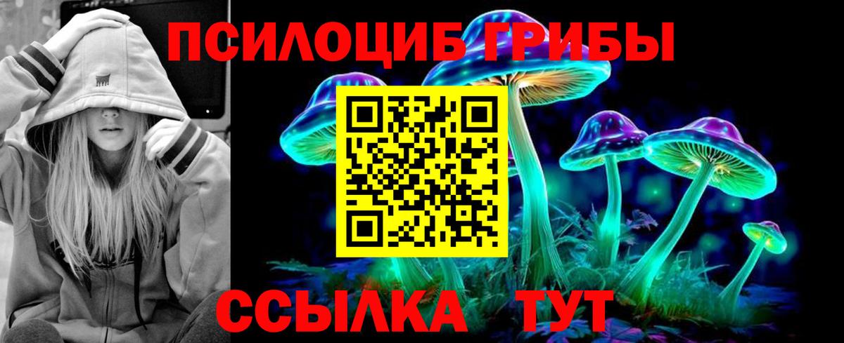 Галлюциногенные грибы ЛСД  Вход с VPN  Северск 