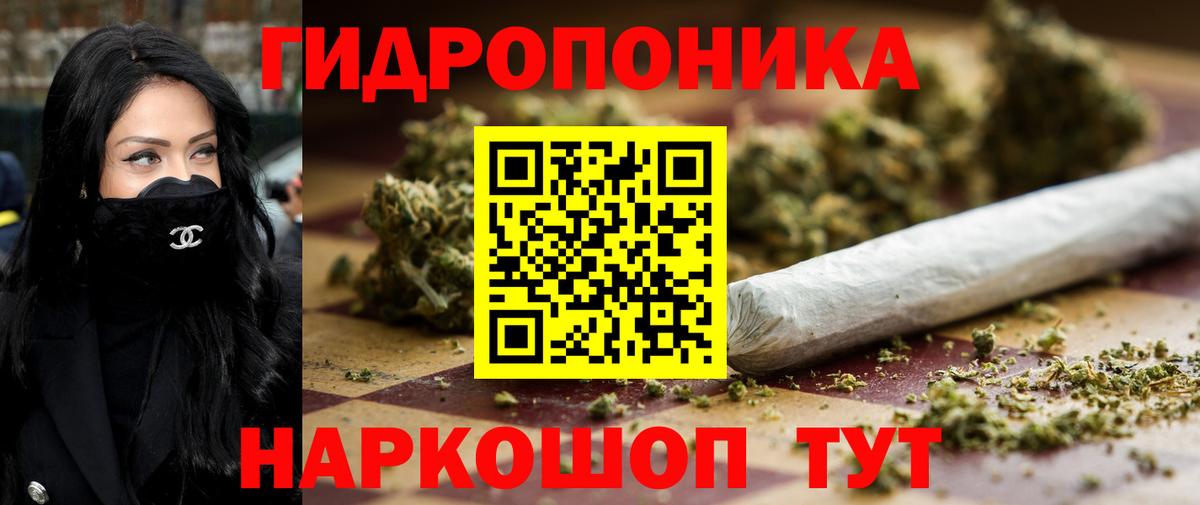 Марихуана сатива  Канабис Bruce Banner  Северск  Вход с VPN  Конопля план  МАРИХУАНА ГИДРОПОН 